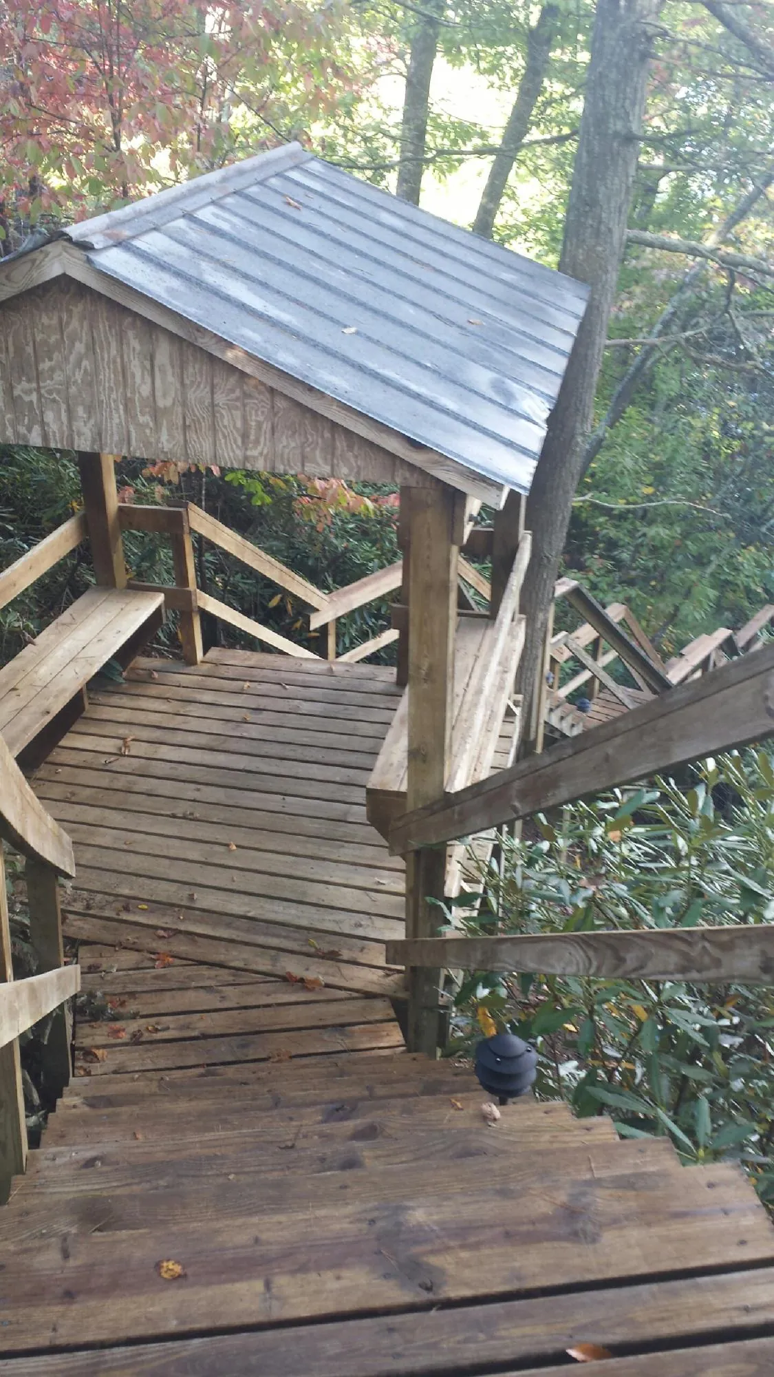 Metal roofed shelter over wooden steps on a wooded walkway in Limekiln